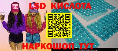 прущие грибы Бийск
