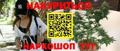 прущие грибы Бийск
