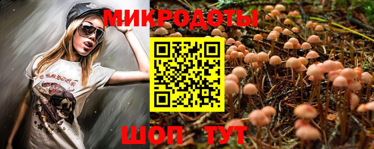 Каменск-Уральский  наркотики  Вход с VPN  Галлюциногенные грибы Cubensis  Псилоцибиновые грибы Psilocybe 