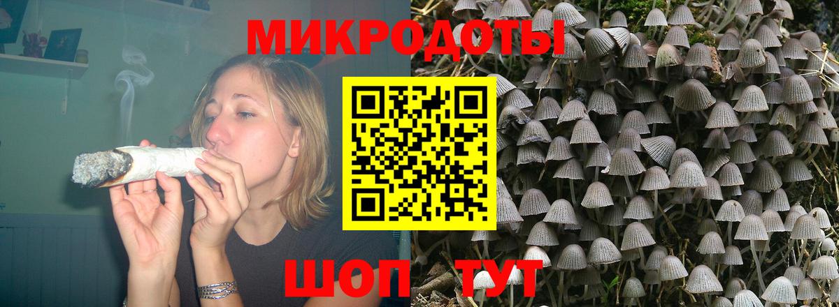 Псилоцибиновые грибы Psilocybine cubensis Каменск-Уральский